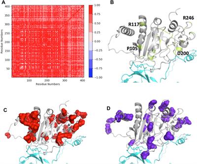 In silico identification and characterization of the SNPs in the human ASTL gene and their probable role in female infertility